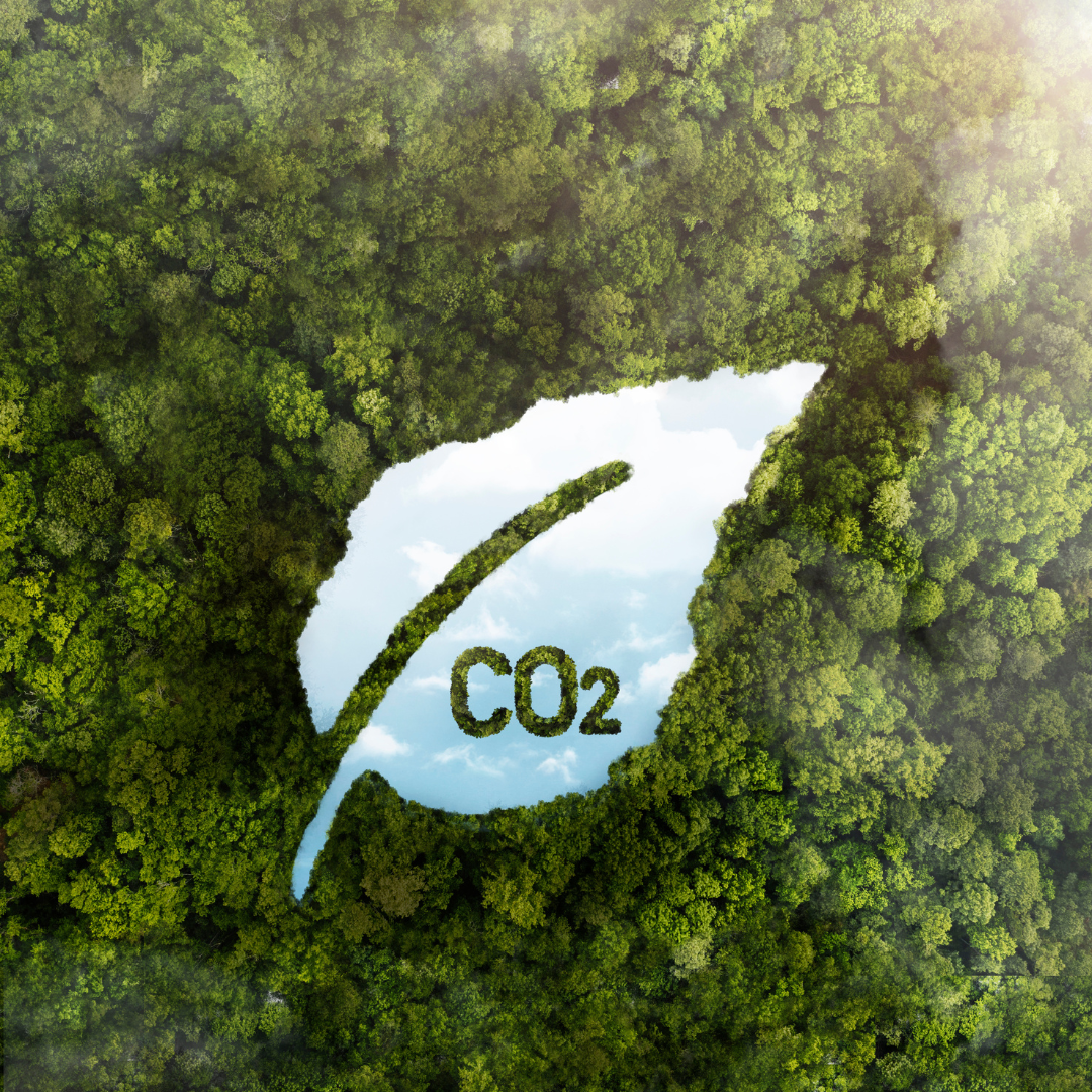 Meno consumi e meno emissioni di CO2